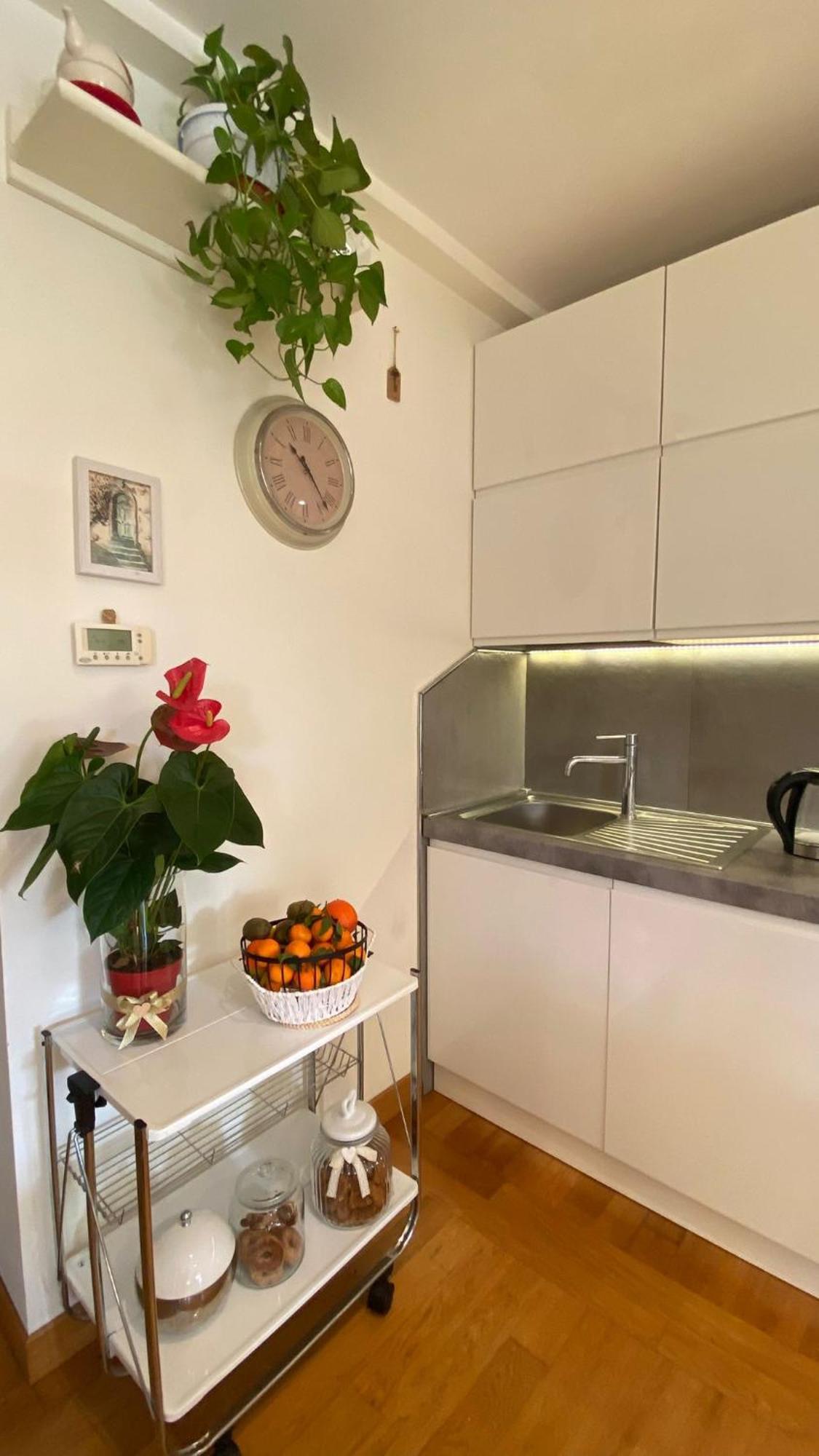 Gemelli Flower's House * Roma